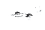 Fender for boat trailer 13" DOMAR D20422 wheel arch 950/240mm