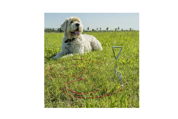 ProPlus 361857 dog tether post with steel cable 4.5 m